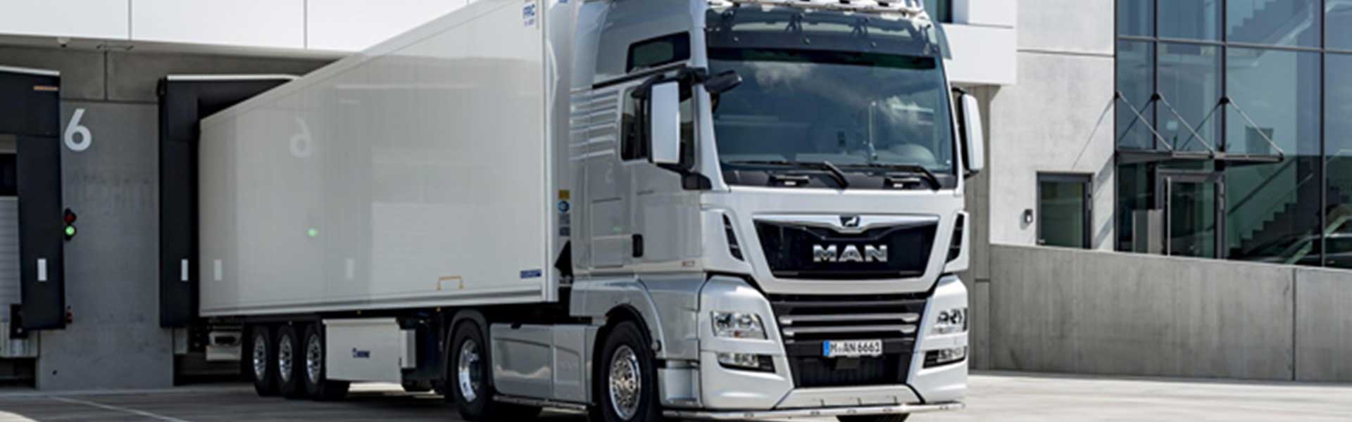 ELEGANT Logistics - Cross-Border Container (trucks)
