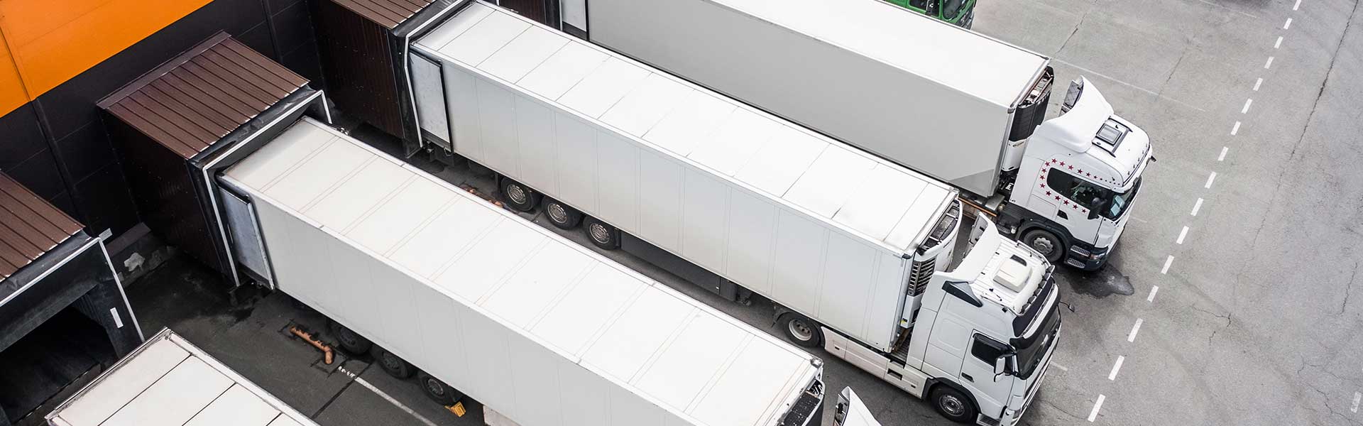 ELEGANT Logistics - Refrigerated Freight