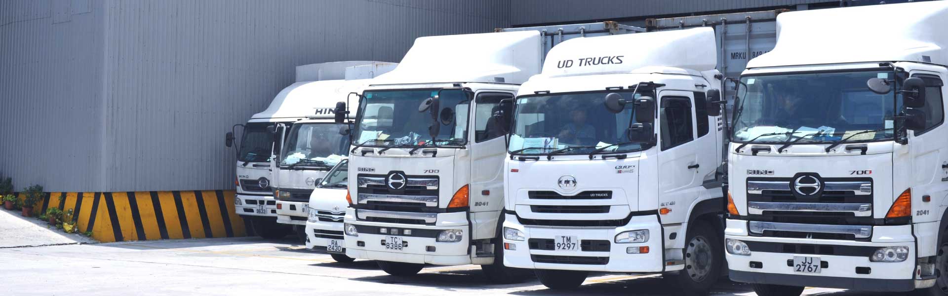 Elegant Logistics Group Ltd - a large fleet of haulage and trailers